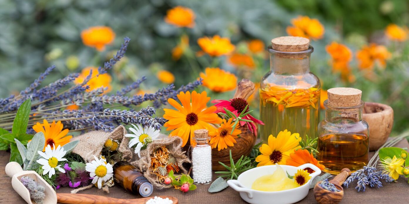 Fitoterapi Fitoterapi