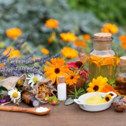 Fitoterapi Fitoterapi